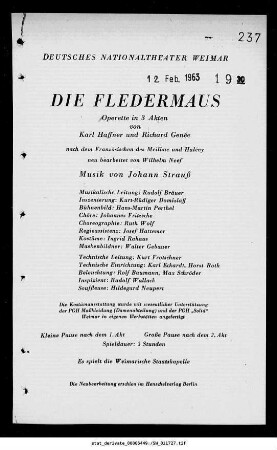 Die Fledermaus