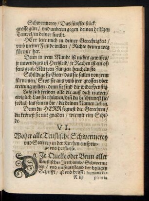VI. Woher alle Teuflische Schwermerey und Secterey in der Kirchen entspringe und herfliesse.