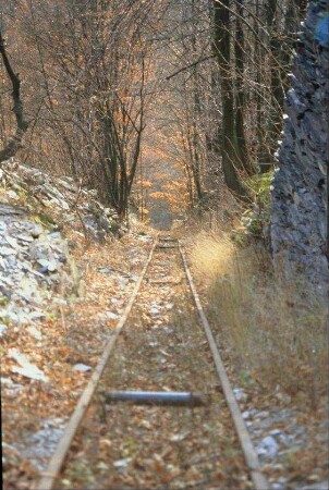 Schienen der ehem. Seilbahn, die bis ins Schwarzatal führte