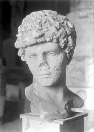 Antinous-Büste