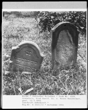 Grabstein von Kind David, Sohn des Moses Mannheimer (gestorben 1852.03.13)