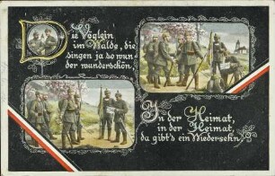 Die Vöglein im Walde, die singen ja so wunder wunderschön [...]