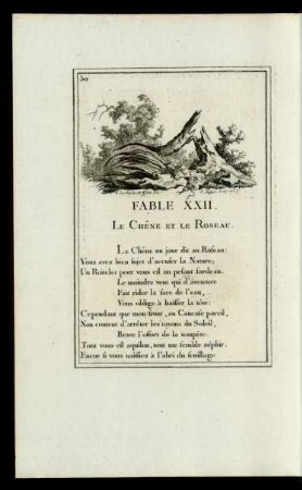 Fable XXII. Le Chêne Et Le Roseau.