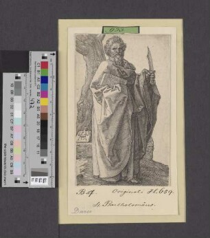 [Der Apostel Bartholomäus]