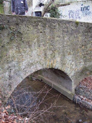 Walluf-Brücke I; Walluf, Im Paradies
