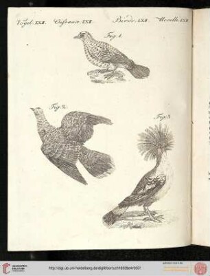 B.IV. No. 71 - B.III. No. 80