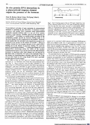 In vivo protein-DNA interactions in a glucocorticoid response element require the presence of the hormone