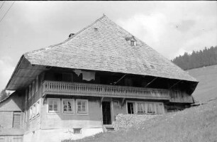 Todtnauberg: Schwarzwaldhaus am Hang; von unten