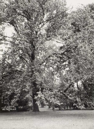 Park Kleinzschocher (Volkspark Kleinzschocher)