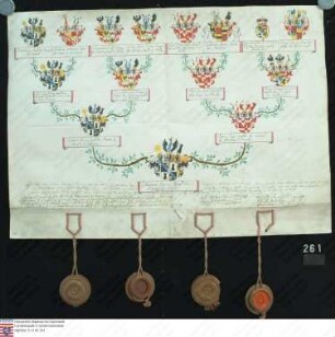 Ahnenprobe des Grafen Christoph Vincenz v. Migazzi z. Waal. - ausgefertigt 1777 März 3