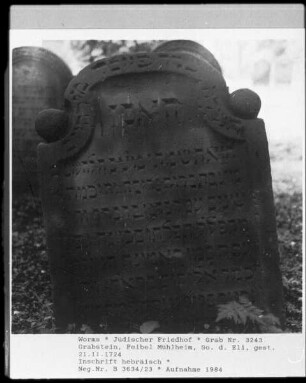 Grabstein von Feibel Mühlheim, Sohn des Eli (gestorben 1724.11.21)