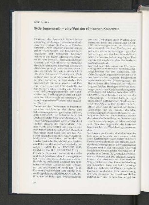 Süderbusenwurth - eine Wurt der römischen Kaiserzeit