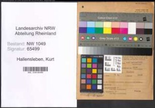 Entnazifizierung Kurt Hallensleben , geb. 07.08.1905 (Buchhalter)
