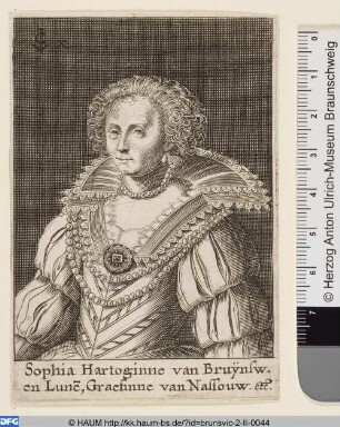 Sophia Hedwig, Herzogin von Braunschweig-Lüneburg, Gräfin von Nassau-Dietz