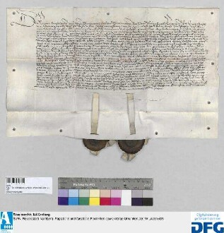 Heintz Gotsch von Hertwigswalde und Vrsula, dessen Ehefrau, verzichten gegenüber Bürgermeistern und Rat der Stadt Nürnberg auf alle Ansprüche an die Hinterlassenschaft Frantz Waltstromers, ihres Schwiegervaters und Vaters, insbesondere auch bezüglich der 3000 fl., welche der Rat den Waldstromern von Prackenfels bezahlt hat. - Siegler: Heintz Gotsch und Hynko Meinholt (für dessen Ehefrau).