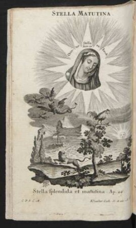 Stella Matutina