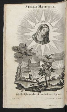 Stella Matutina