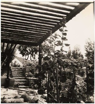 Garten Suidter, Luzern: Terrasse mit Laube