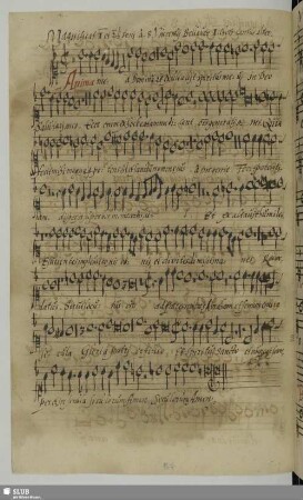 Bell'haver, Vincenzo: Magnificat