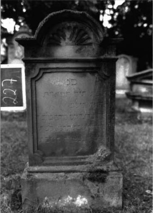 Grabstein 227