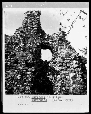 Burgruine Burgberg