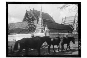 Tempel in Bangkok : Bangkok. Ansicht des Wat Saket, 1908