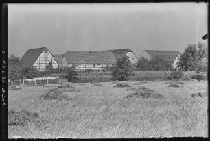 Krögis. Blick auf Krögis, Ortsteil Görtitz
