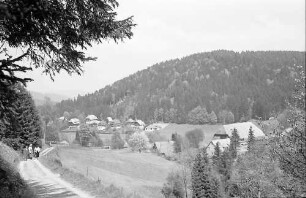 Weg am Hang bei Hinterzarten