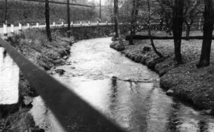 Triebischtal-Roitzschen. Die Triebisch bei der Neidmühle