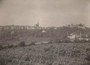 Leisnig. Ortsansicht