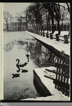 60 Bad Lauchstädt, Park