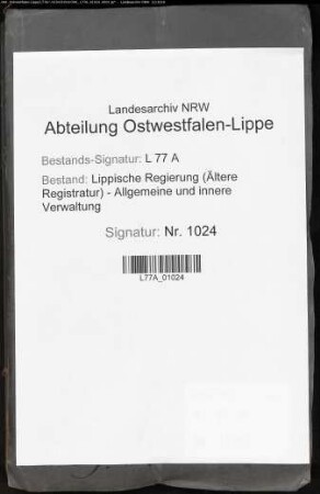 Das Gogericht des Amtes Schieder