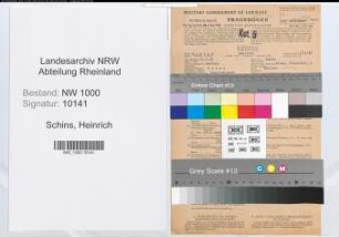 Entnazifizierung Heinrich Schins, geb. 11.02.1893 (Kellner)