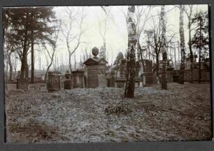 alter Friedhof, Gesamtbild der Steine vor 1834