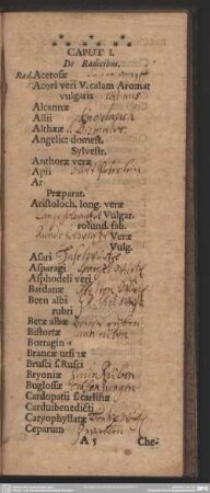 Caput I. De Radicibus