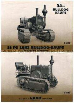 Bulldog-Raupe