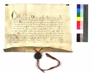 Papst Clemens (V.) bestätigt Äbtissin und Konvent des St. Klara-Klosters zu Heilbronn die diesen von seinen Vorgängern verliehenen Freiheiten und Privilegien.