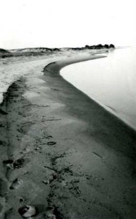 Kurische Nehrung