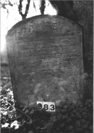 Grabstein 983 (Index: 99899533) Material: Sandstein Zustand: angewittert, unten stark verwittert Maße HxBxT: 92x64x7 cm Beschreibung: Stele mit Segmentbogenabschluss, im Bogenfeld Levitenkanne Symbolik: Levitenkanne: Grabstein 983