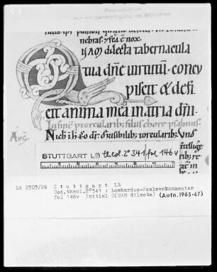 Petrus Lombardus, Psalmenkommentar — Initiale Q (uam dilecta) mit einem Drachen, Folio 146verso