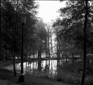 [Beste/Trave?]