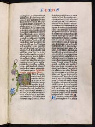 Liber Ionae prophetae
