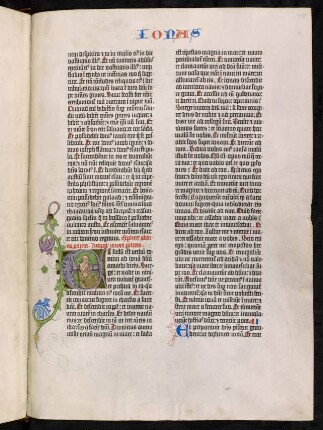 Liber Ionae prophetae