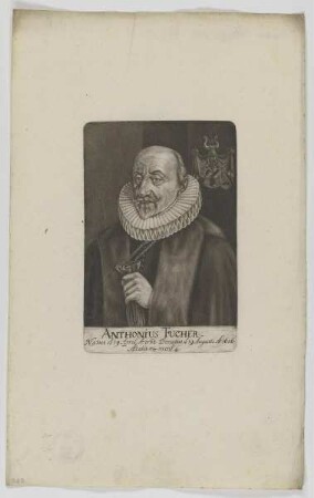 Bildnis des Anthonius Tucher