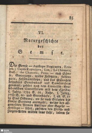 VI. Naturgeschichte der Gemse
