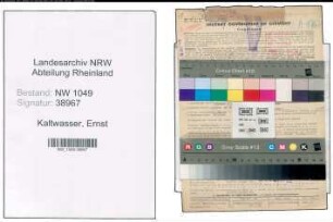 Entnazifizierung Ernst Kaltwasser , geb. 07.01.1904 (Steuerberater)