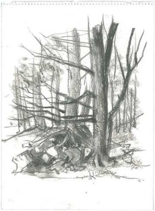Gsaenger, Gustav; Landschafts - und Gebäudestudien - Waldlandschaft (Studie)