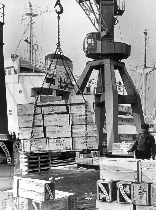 Hamburg. Hafen. Zitrusfrüchte werden am Fruchtschuppen entladen