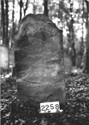 Grabstein 2258
