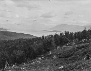 Seeblick : Blick über eine bewaldete Landschaft auf einen See in Skandinavien
